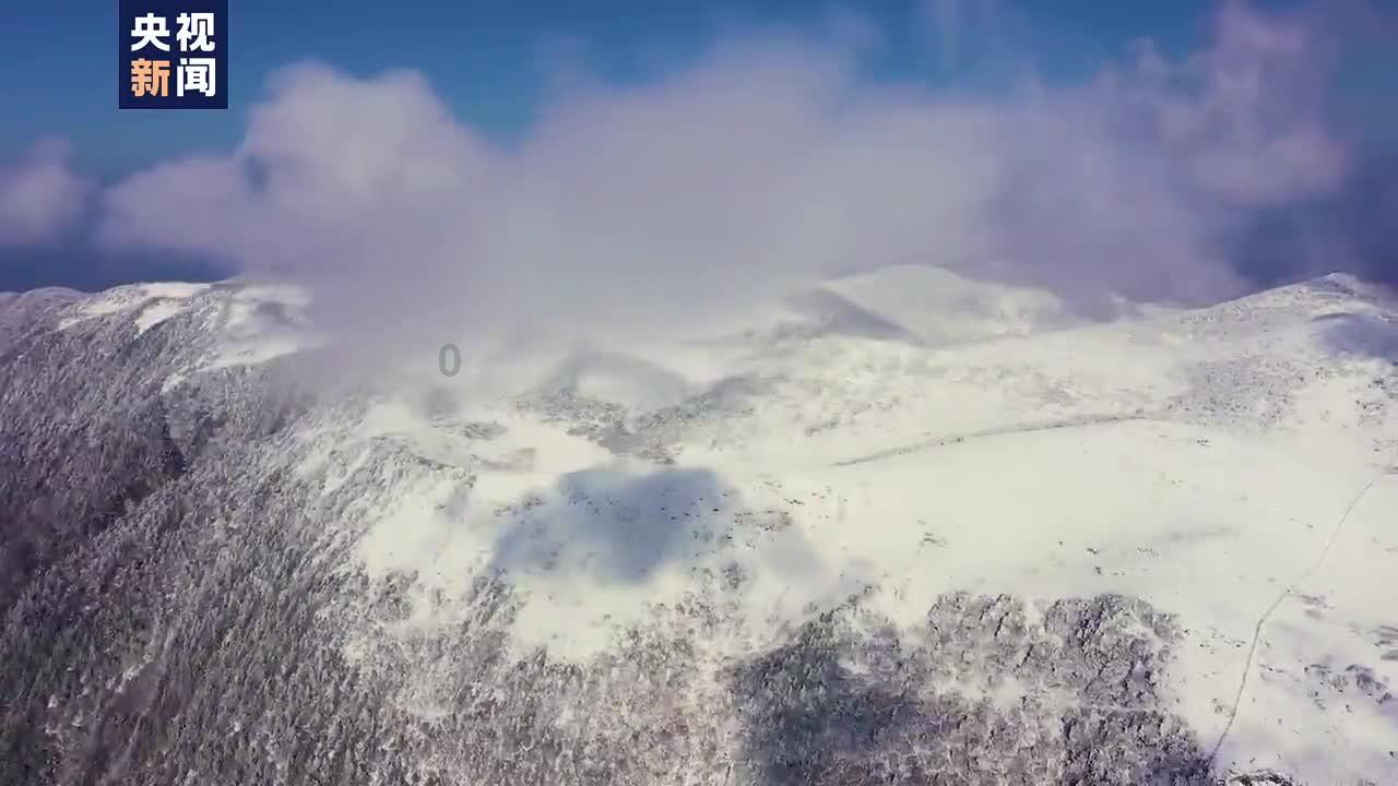 光武帝刘秀那么爱阴丽华,为什么还要立别人当皇后呢?-知识星球平台|分享与探索