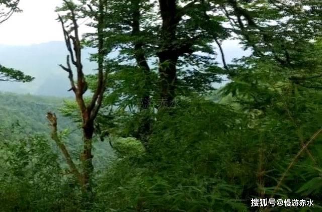 如果不列颠空战胜利了,历史会变成什么样-专业问答解答平台